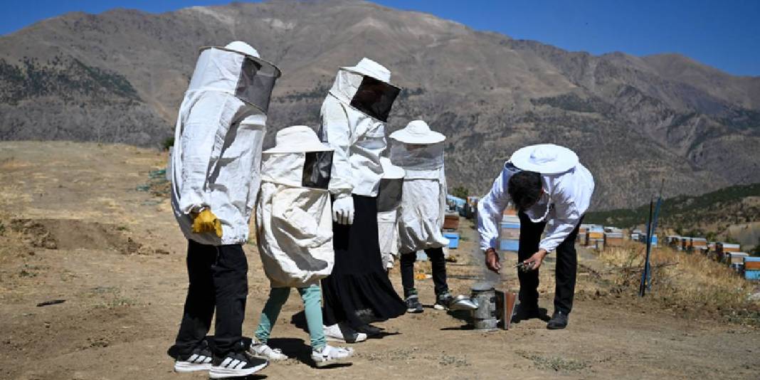 Şehirden kırsala yerleşip üretime geçtiler! 30 kovandan sayıları 350’ye çıktı: Yılda 2,5 ton üretim yapıyorlar 6